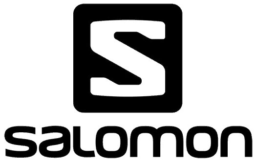 Salomon Partner Logo
